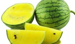 俄英法吃瓜图片,俄英法三国“吃瓜群众”趣味对比