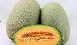 结节吃哈密瓜,哈密瓜的神奇食疗功效