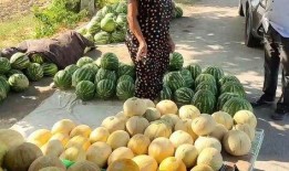 邢台热门吃瓜事件,揭秘本地最新热门吃瓜事件