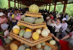 哈密吃瓜仔,揭秘新疆特色美食背后的故事