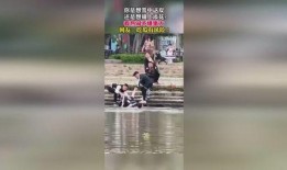 男女约会吃瓜群众视频,男女约会吃瓜群众视角下的甜蜜瞬间