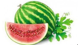 反季节吃瓜,反季节吃瓜，尽享清凉时光