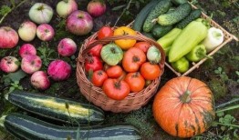 老牧吃瓜,揭秘娱乐圈背后的那些事儿