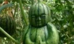 网友在网上吃瓜