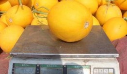 桑田小易吃瓜,揭秘娱乐圈那些不为人知的幕后故事