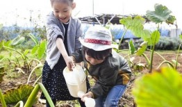 无锡博世吃瓜事件,揭秘背后真相与网络舆论风暴