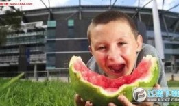 吃瓜大白完整版,揭秘娱乐圈背后的真相与内幕