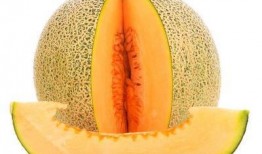 结节吃哈密瓜,哈密瓜的神奇食疗功效