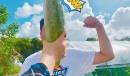 带朋友吃瓜,揭秘娱乐圈那些不为人知的幕后故事