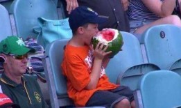 球场吃瓜,揭秘吃瓜群众的激情岁月