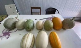 杭麻吃瓜,揭秘网红美食背后的故事