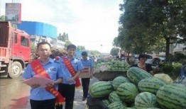 雅安天全吃瓜事件,揭秘背后真相与网络舆论风暴