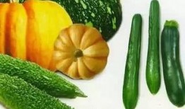 wb吃瓜队,揭秘娱乐圈幕后风云