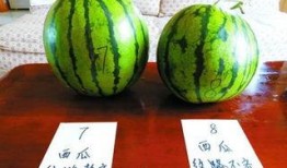 挑西瓜吃瓜,揭秘挑选美味西瓜的秘诀