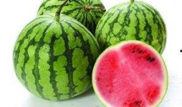 什么瓜不()吃,揭秘“什么瓜不()吃”背后的饮食禁忌与健康智慧