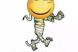 吃瓜养崽穷开心,揭秘低成本快乐生活新风尚