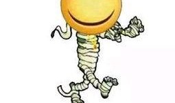 吃瓜养崽穷开心,揭秘低成本快乐生活新风尚