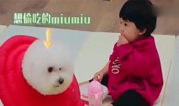 女生剪头发吃瓜,女生剪发吃瓜，时尚与美味的完美邂逅