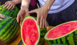 潍坊学院今天吃瓜,校园热闻一网打尽