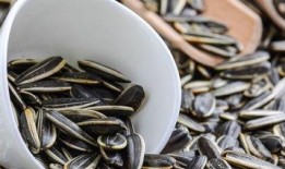 见面吃瓜嗑瓜子,揭秘社交中的趣味瞬间