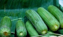 妇女吃瓜对身体好吗,健康益处与注意事项解析