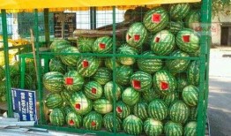 莫斯科吃瓜视频大全,吃瓜视频大全揭秘