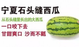 吃瓜小科普全集,揭秘娱乐圈那些事儿