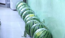 吃神的大瓜,娱乐圈风云再起，真相令人震惊