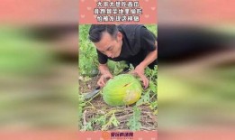 安丘吃瓜哥,揭秘当地特色美食背后的故事