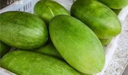 青浦三林塘崩瓜怎么吃,传统美食的独特吃法揭秘