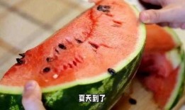 被吃瓜背刺,揭秘娱乐圈背后的真相与风波