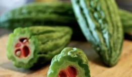 吃瓜列表6688,6688背后的故事与真相