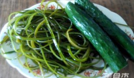 吃货海带瓜,海带瓜的独特风味与烹饪秘籍