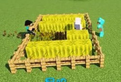 瓜哥吃瓜我的世界,揭秘我的世界中的趣味瓜事