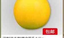 金皮蜜瓜怎么吃,解锁夏日清新美味