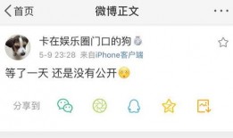 爆料吃瓜热门文案,最新爆料吃瓜文案，带你领略明星幕后故事