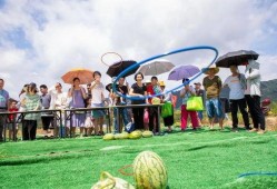 梁山观景台吃瓜,瓜果飘香，尽享夏日盛宴