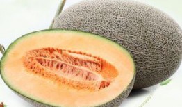 吃哈密瓜吃漏嘴,一吃就漏嘴的甜蜜诱惑之旅