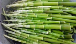 吃完竹笋可以吃小瓜吗,探索竹笋与小瓜的搭配之道