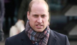 秃头老头吃瓜,一场关于岁月与生活的幽默盛宴