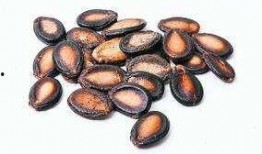 吃瓜仔上火牙龈,揭秘日常饮食中的健康隐患