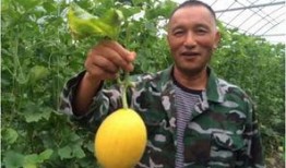 福利海外吃瓜,一场别开生面的吃瓜盛宴