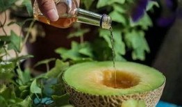 金皮蜜瓜怎么吃,解锁夏日清新美味