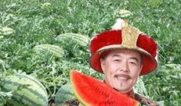乾隆吃瓜视频,揭秘古时皇家吃瓜盛况