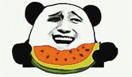 吃瓜寓意是什么,揭秘“吃瓜”背后的寓意与哲理