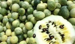 籽瓜怎么吃治咳嗽,天然止咳良方，缓解咳嗽不适