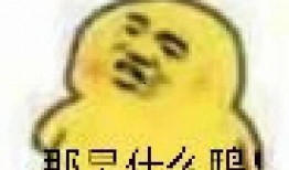 吃瓜的表情包照片,揭秘吃瓜表情包背后的欢乐瞬间