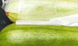 吃角瓜的籽,营养与烹饪的奇妙之旅