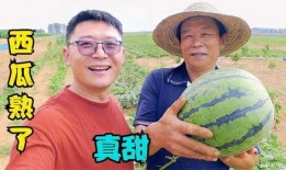 吃瓜真幸福,见证时代变迁的旁观者