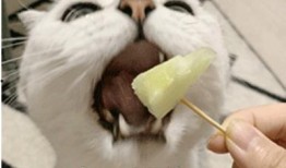 吃瓜疯评论,揭秘娱乐圈幕后真相